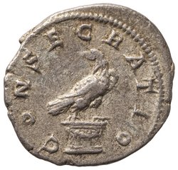 Divus Septimius Severus