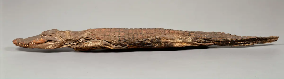 Krokodil