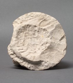 Kanopendeckel in Form eines Affenkopfes