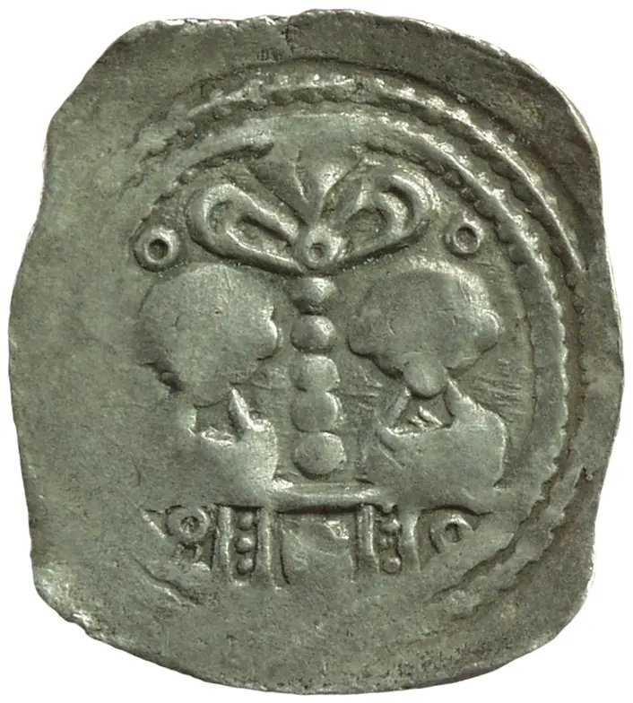 Herzöge von Kärnten / Herren von Krain: Bernhard (1202–1256)