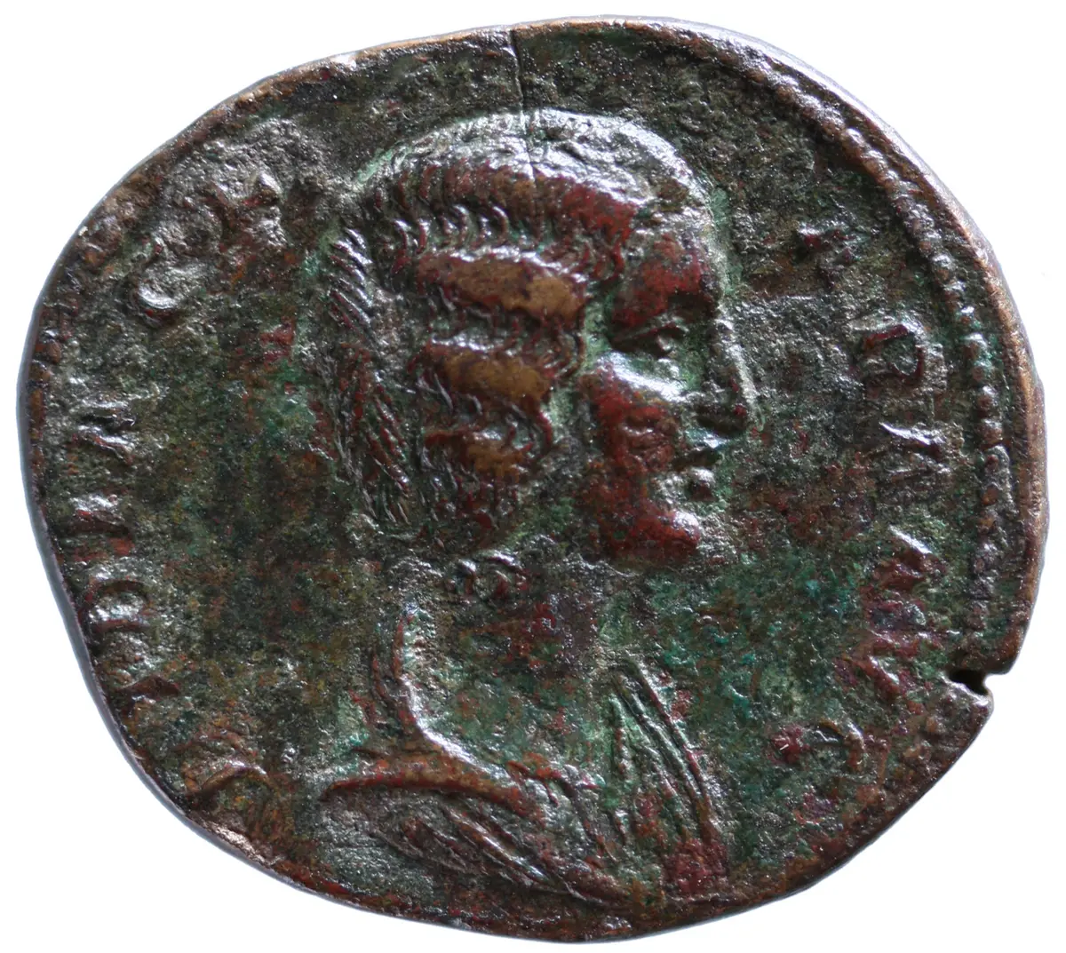 Didia Clara