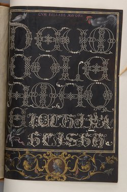 Schriftmusterbuch; 127 Blatt Pergament