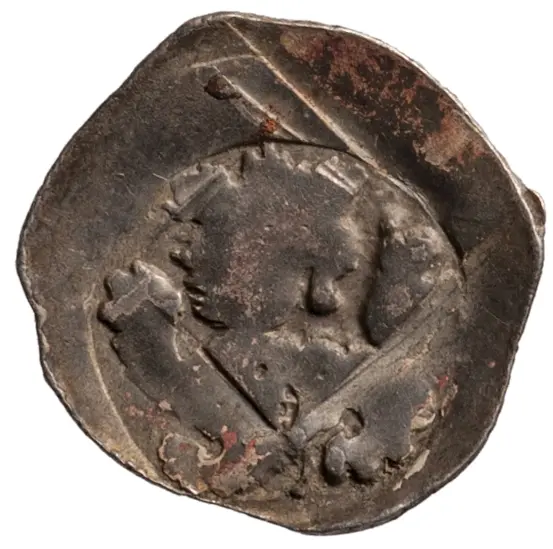 Herzöge von Österreich: Friedrich III., der Schöne (1306/1314–1330)
