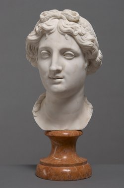 Kopf einer Frau