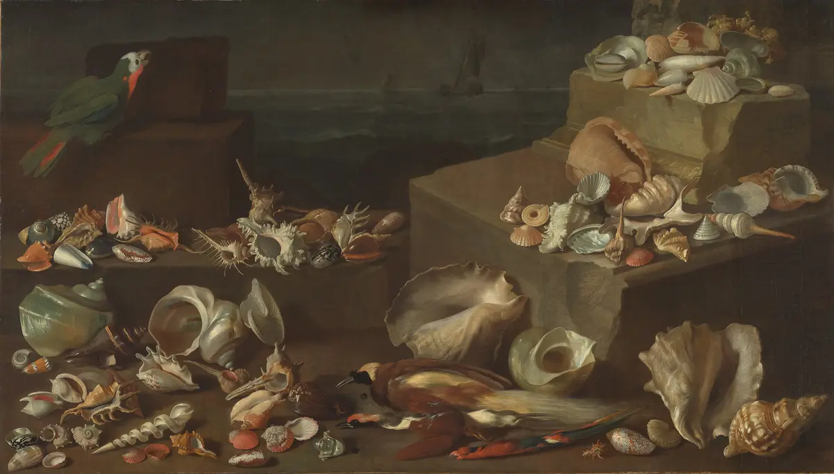 Stillleben mit Meeresschnecken und Muscheln