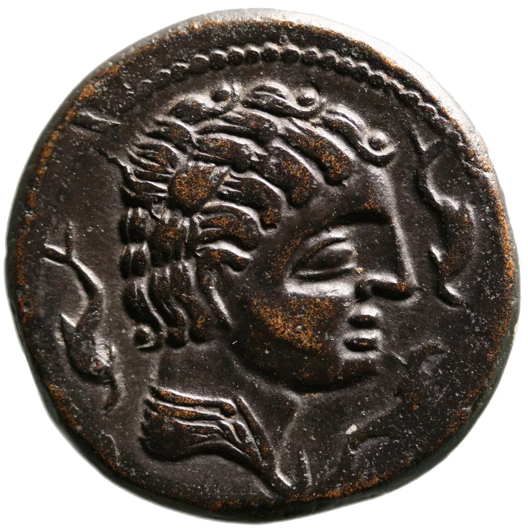 Hispania: Kelse