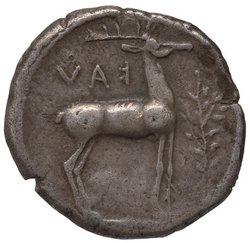 Kaulonia