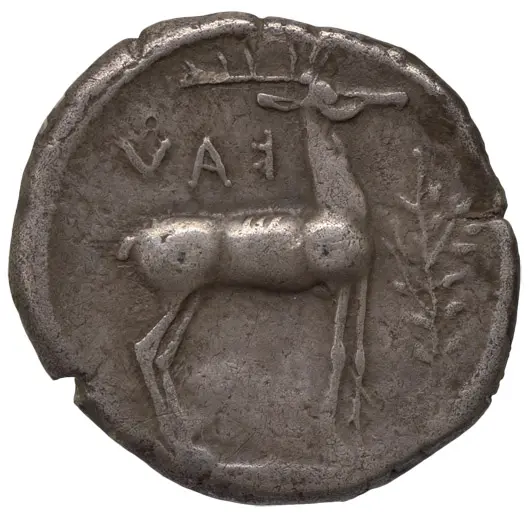 Kaulonia
