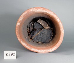 Ibismumie in kegelförmigem Tongefäß