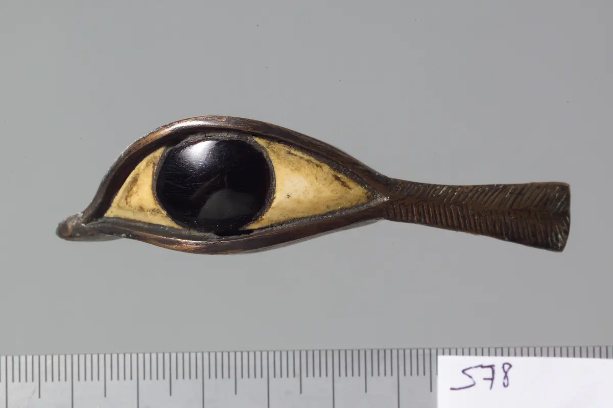 Sargfragment: Auge