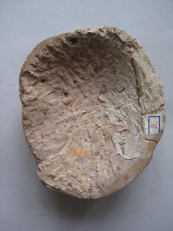 Fragment einer Sima mit Schauspielermasken: Männliche Theatermaske