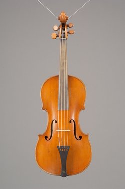 Viola