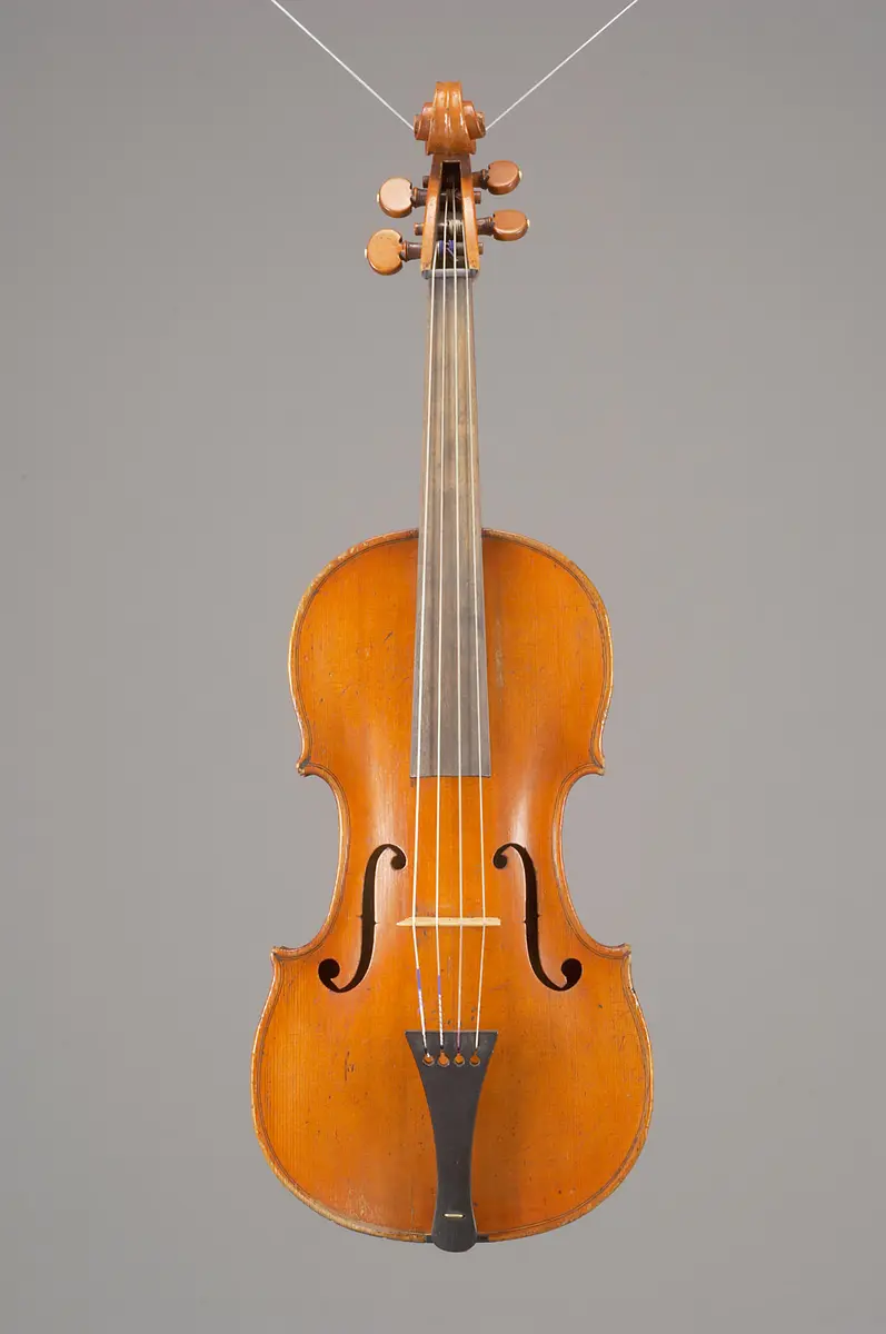 Viola
