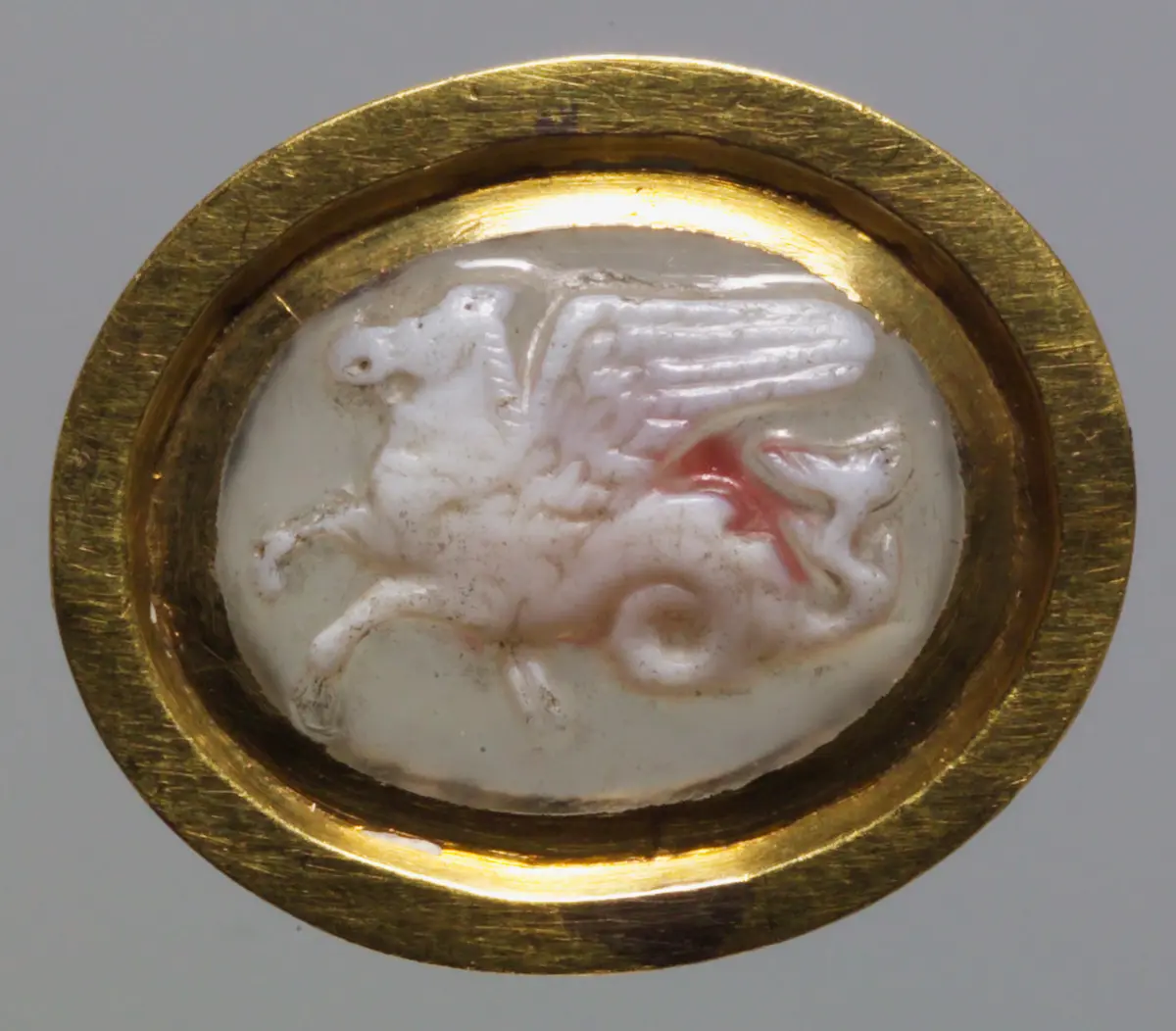 Geflügeltes Seepferd