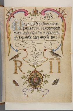 Schriftmusterbuch; 127 Blatt Pergament