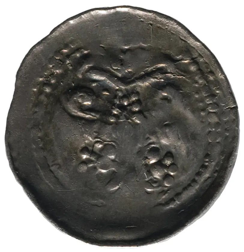 Herzöge von Kärnten / Herren von Krain: Bernhard (1202–1256)