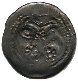 Herzöge von Kärnten / Herren von Krain: Bernhard (1202–1256)
