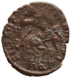 Constantius Gallus