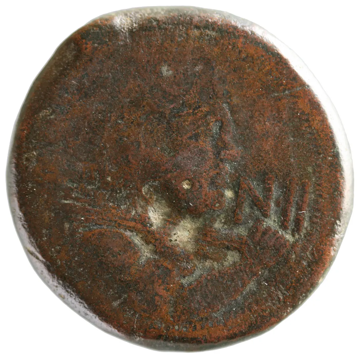 Venusia