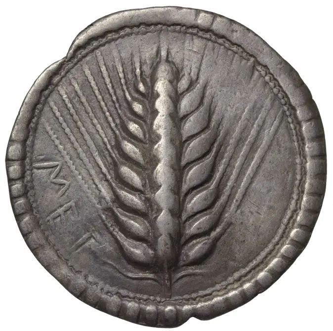 Metapont