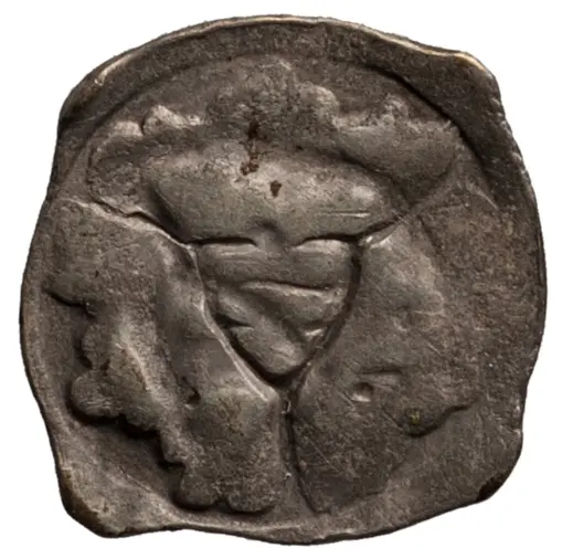 Herzöge von Österreich: Albrecht II. (1330–1358)
