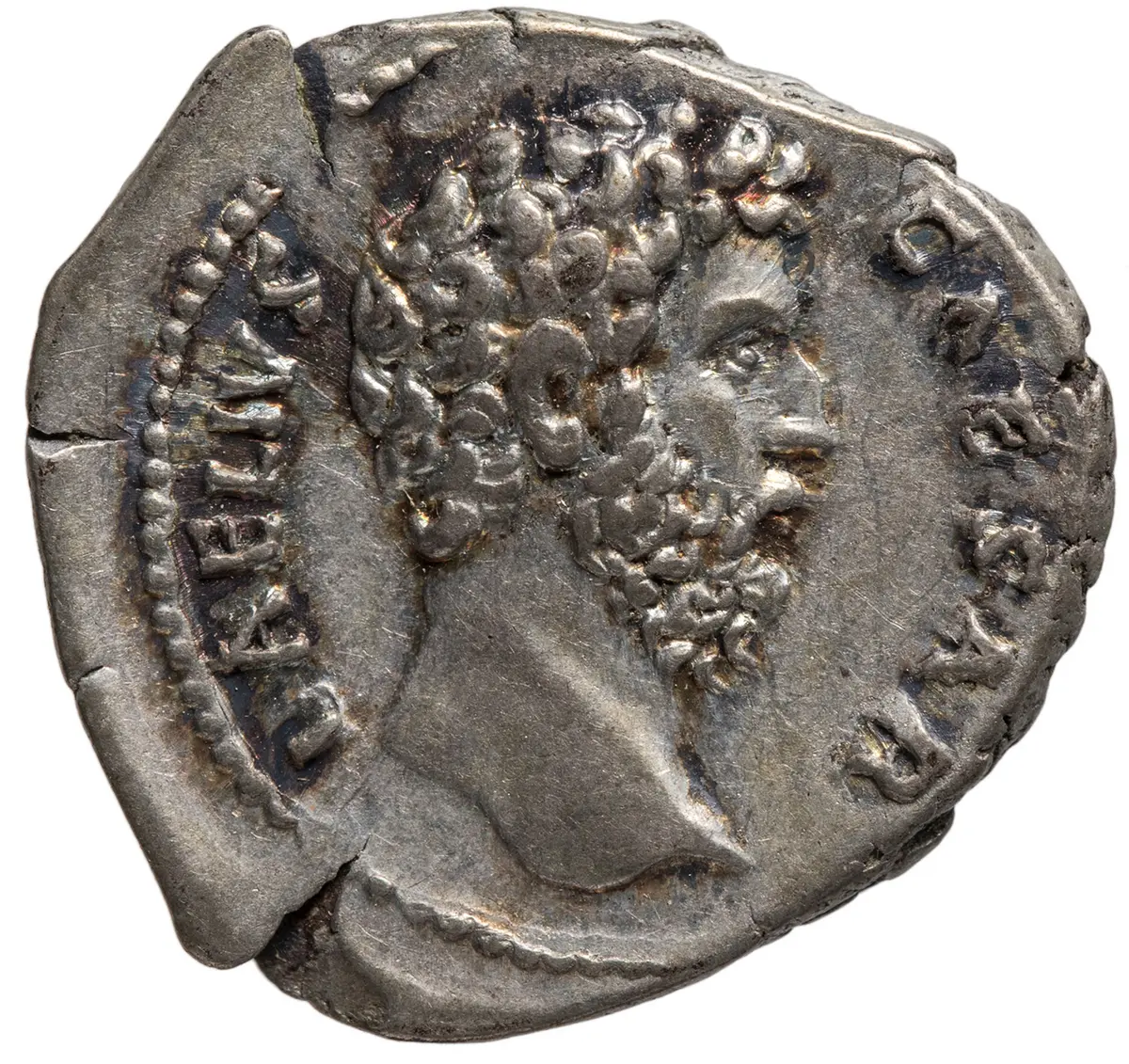 Lucius Aelius