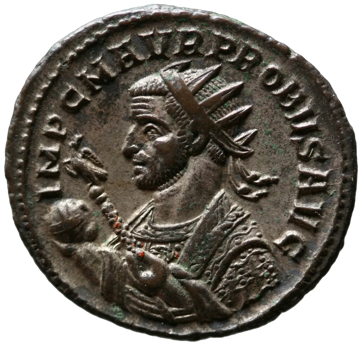 Probus