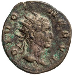 Divus Nerva