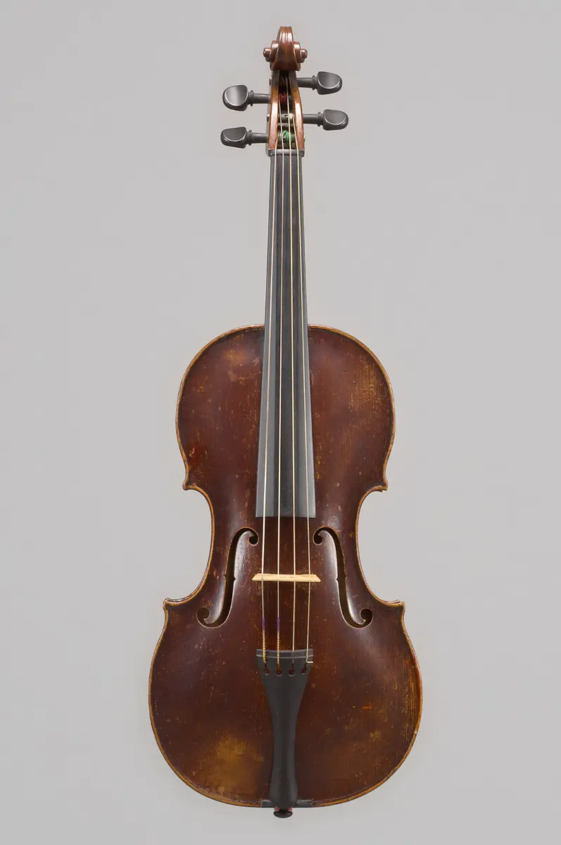 Viola