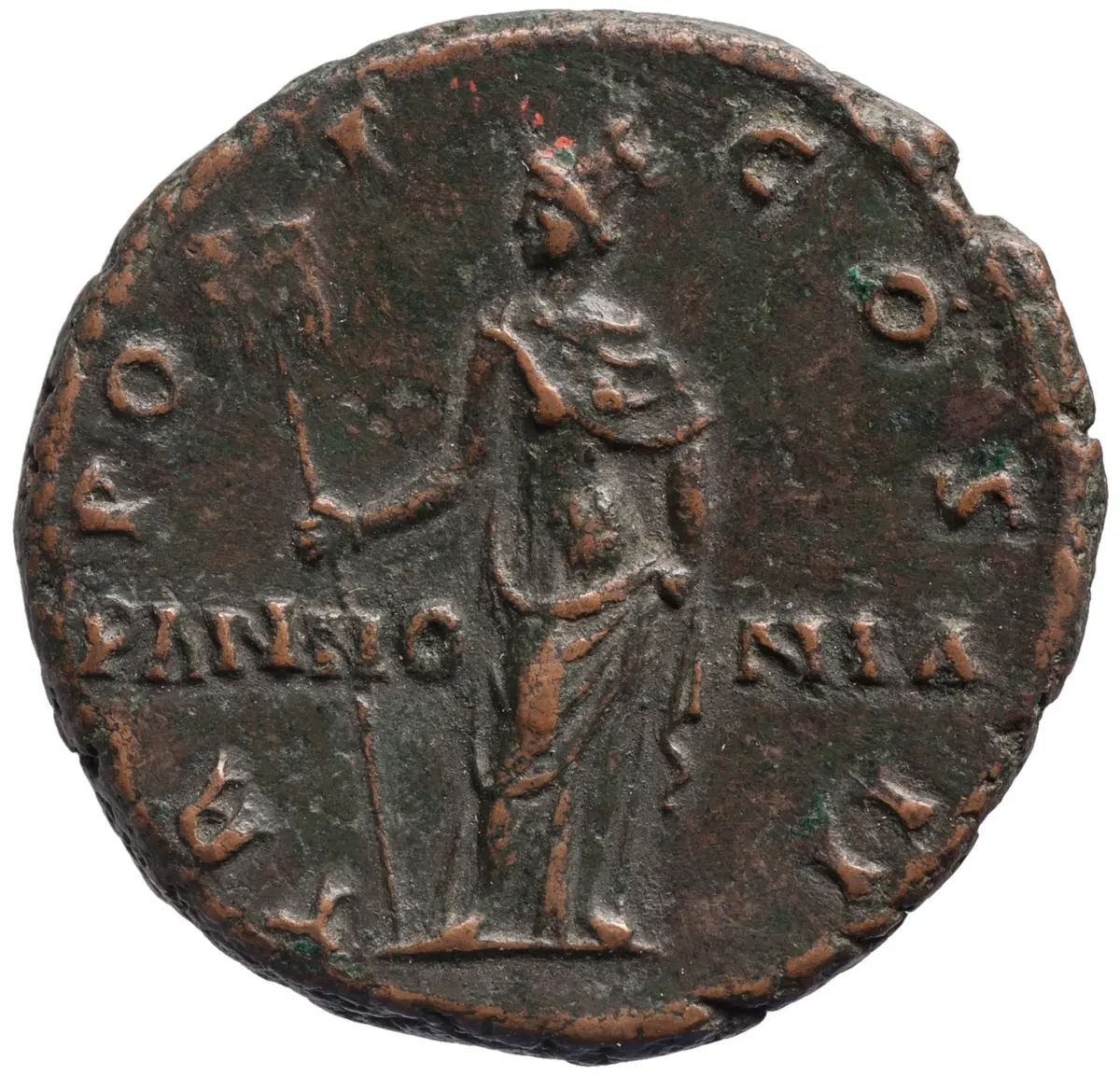 Lucius Aelius