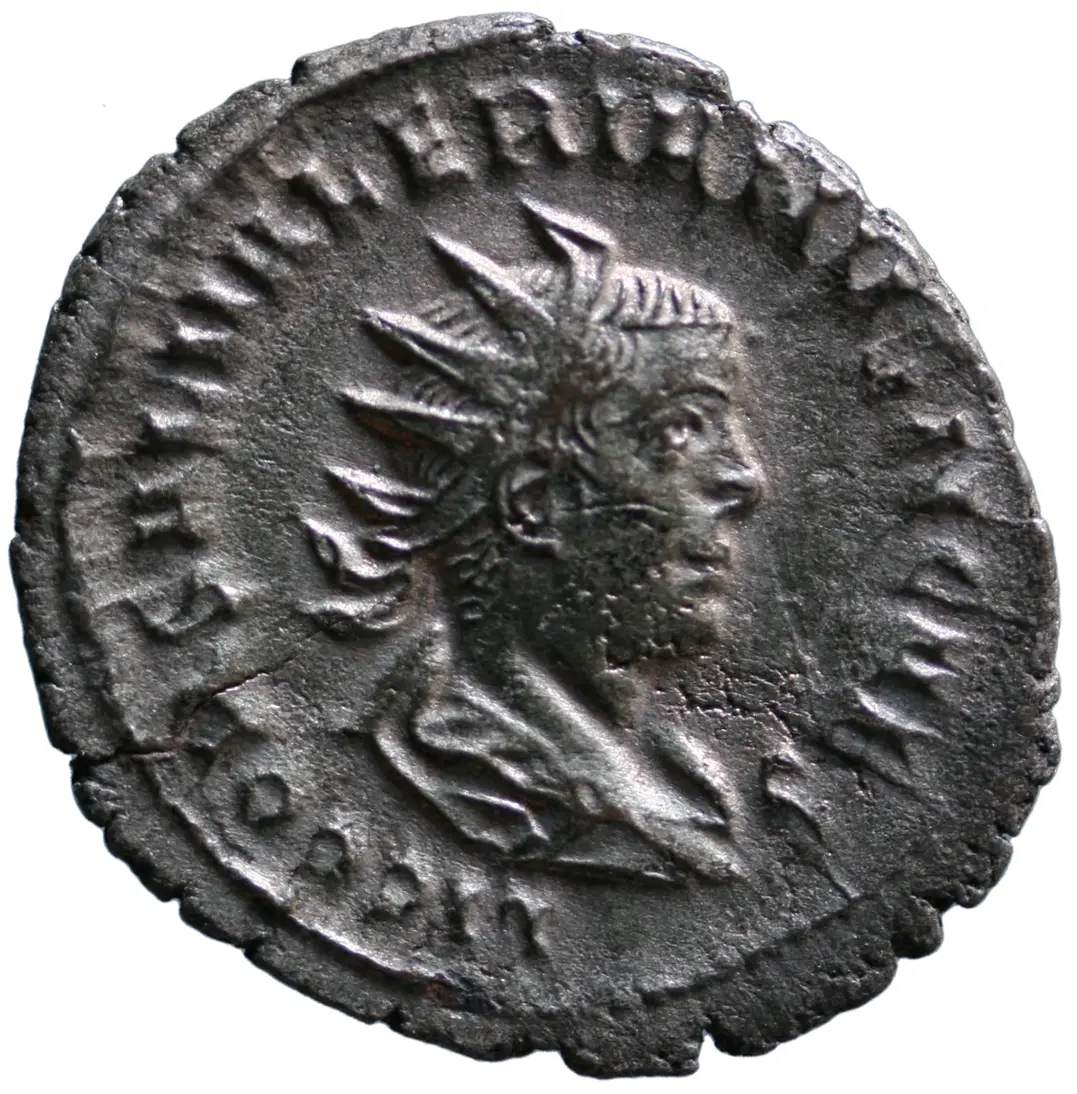 Saloninus
