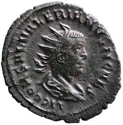 Saloninus