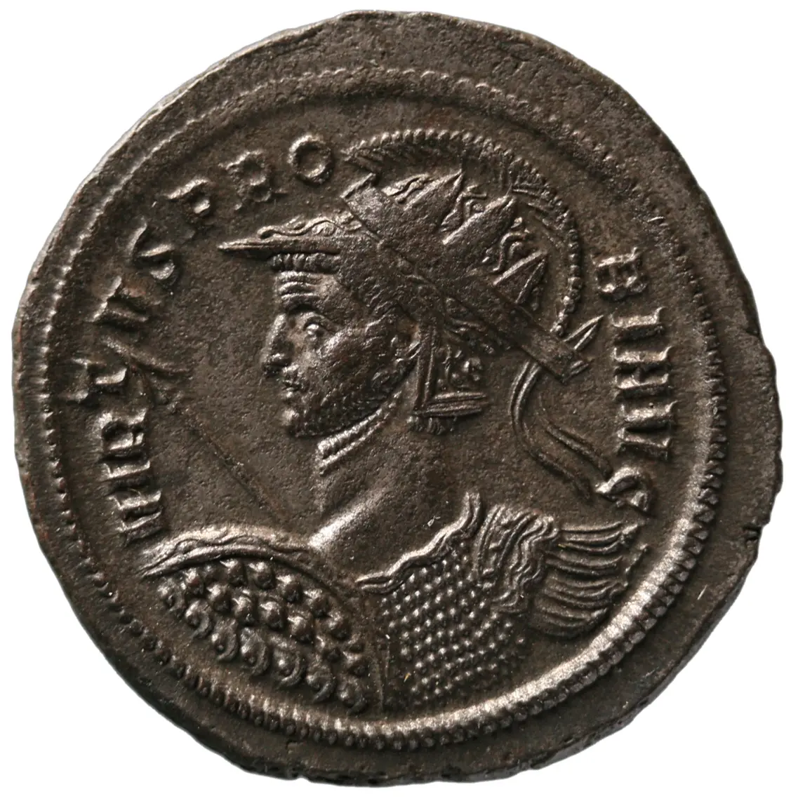 Probus