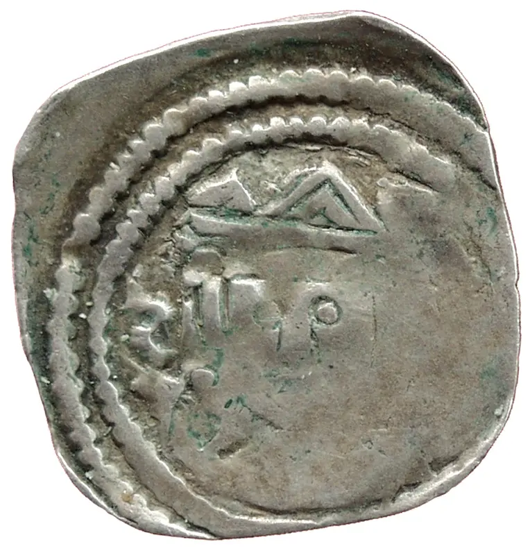 Herzöge von Kärnten / Herren von Krain: Bernhard (1202–1256)