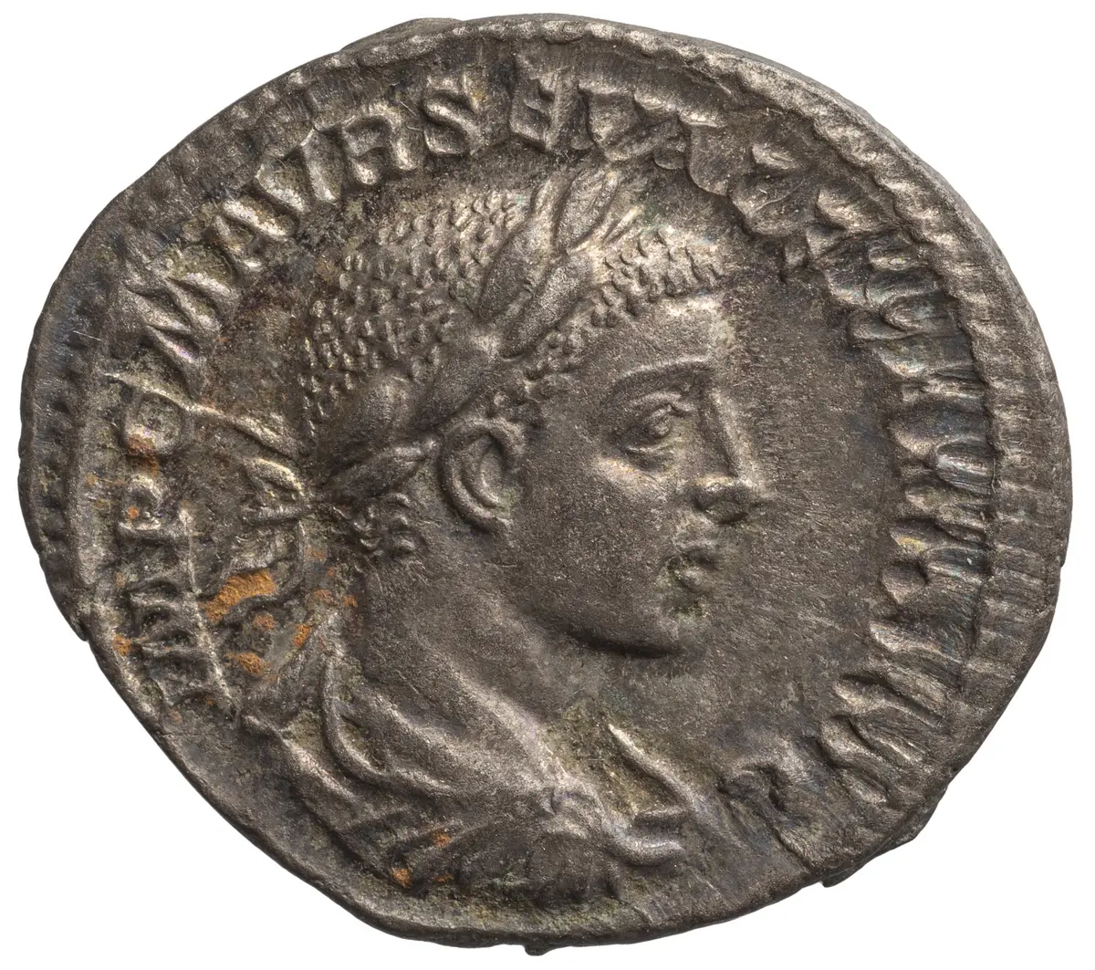 Severus Alexander