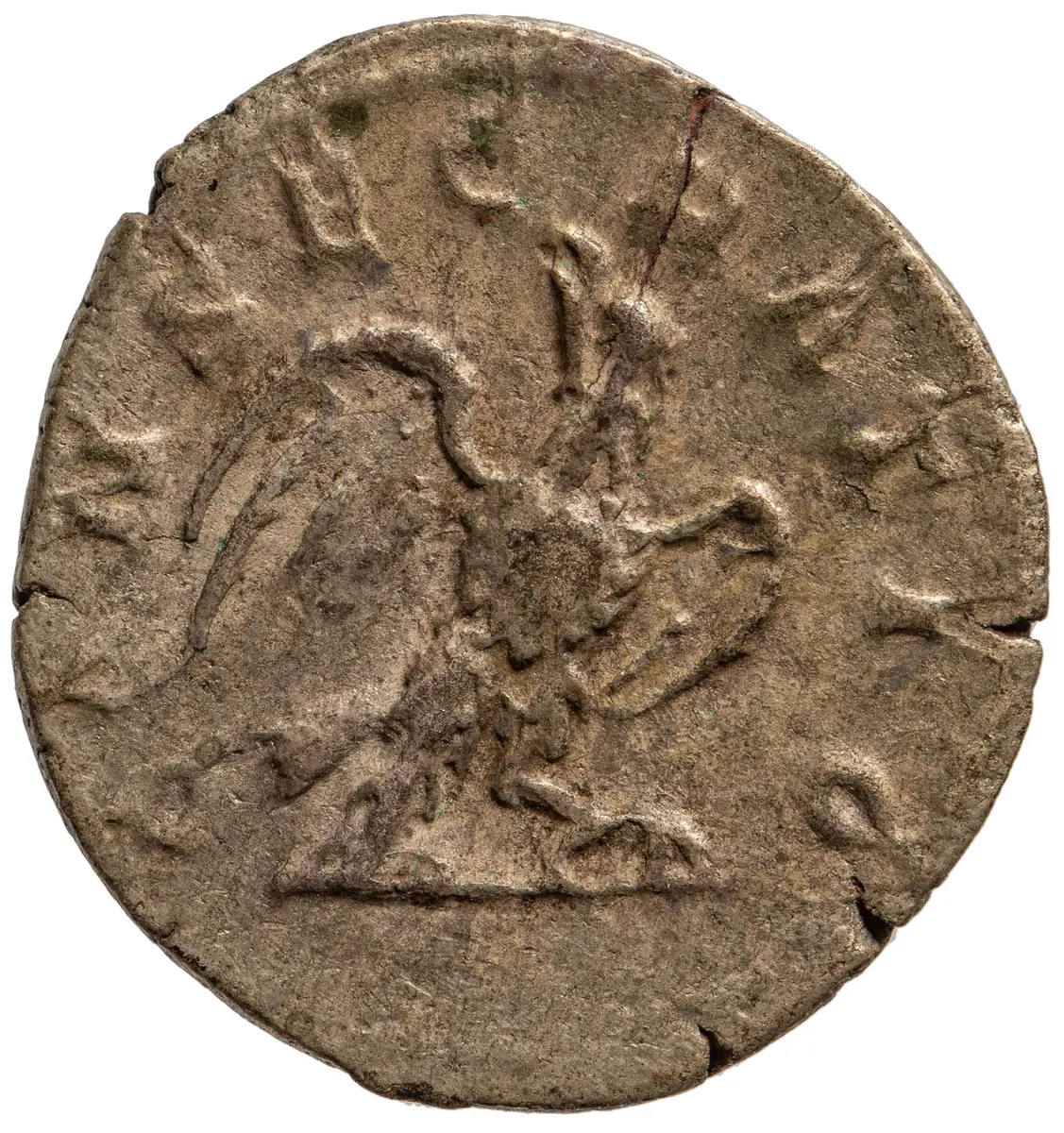 Divus Augustus