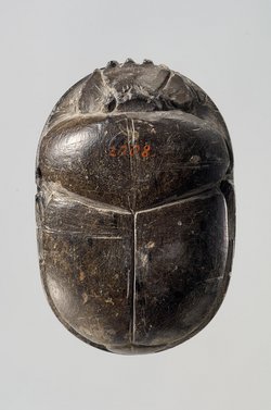Herzskarabäus der Hausherrin Wer(...)