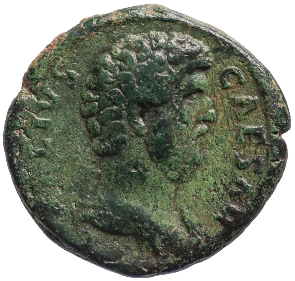 Lucius Aelius