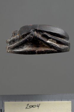 Herzskarabäus