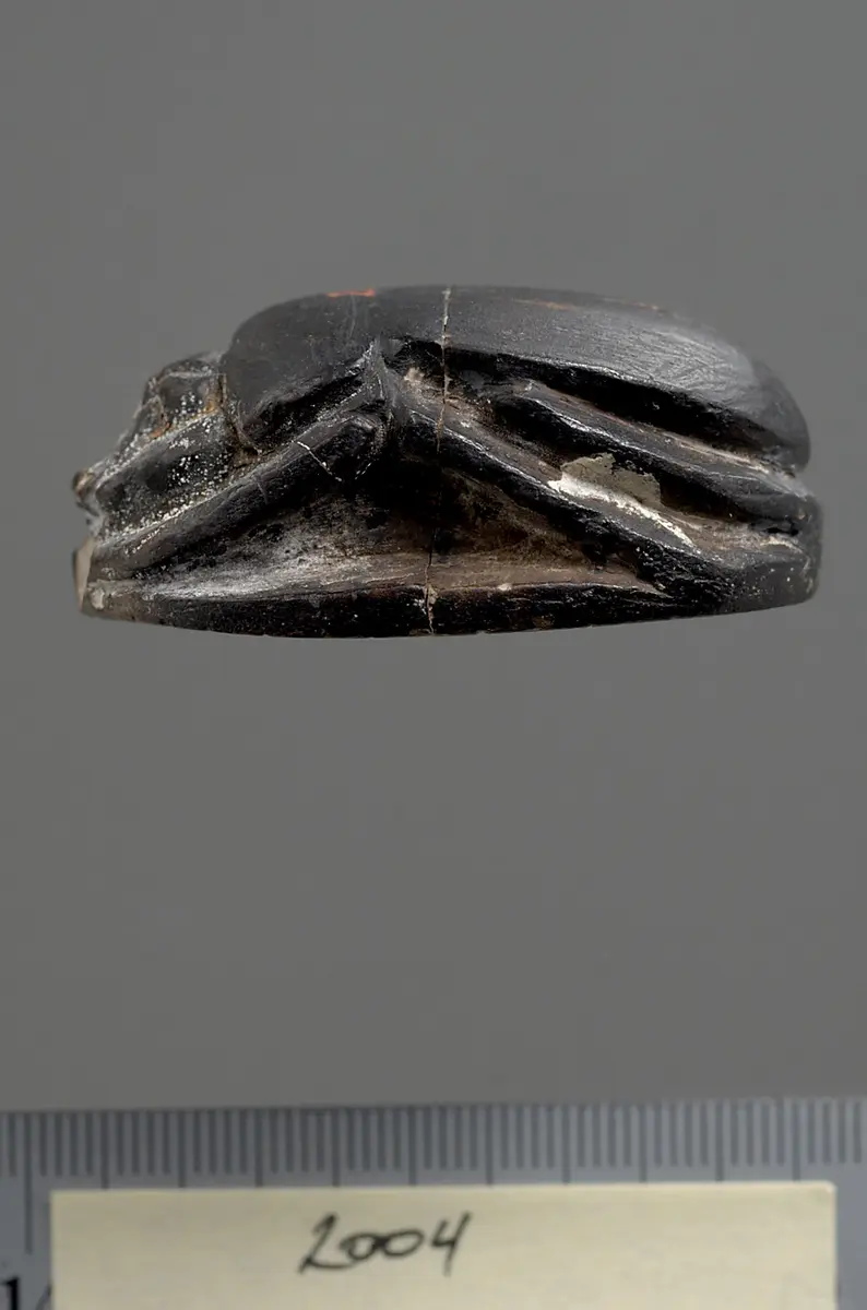 Herzskarabäus