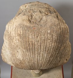 Colossal head from a royal statue 