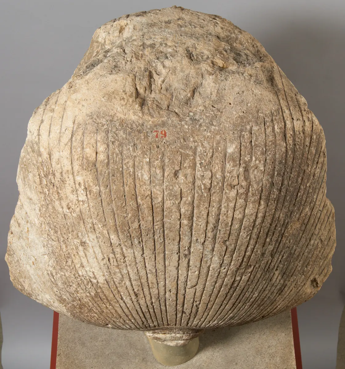 Colossal head from a royal statue 