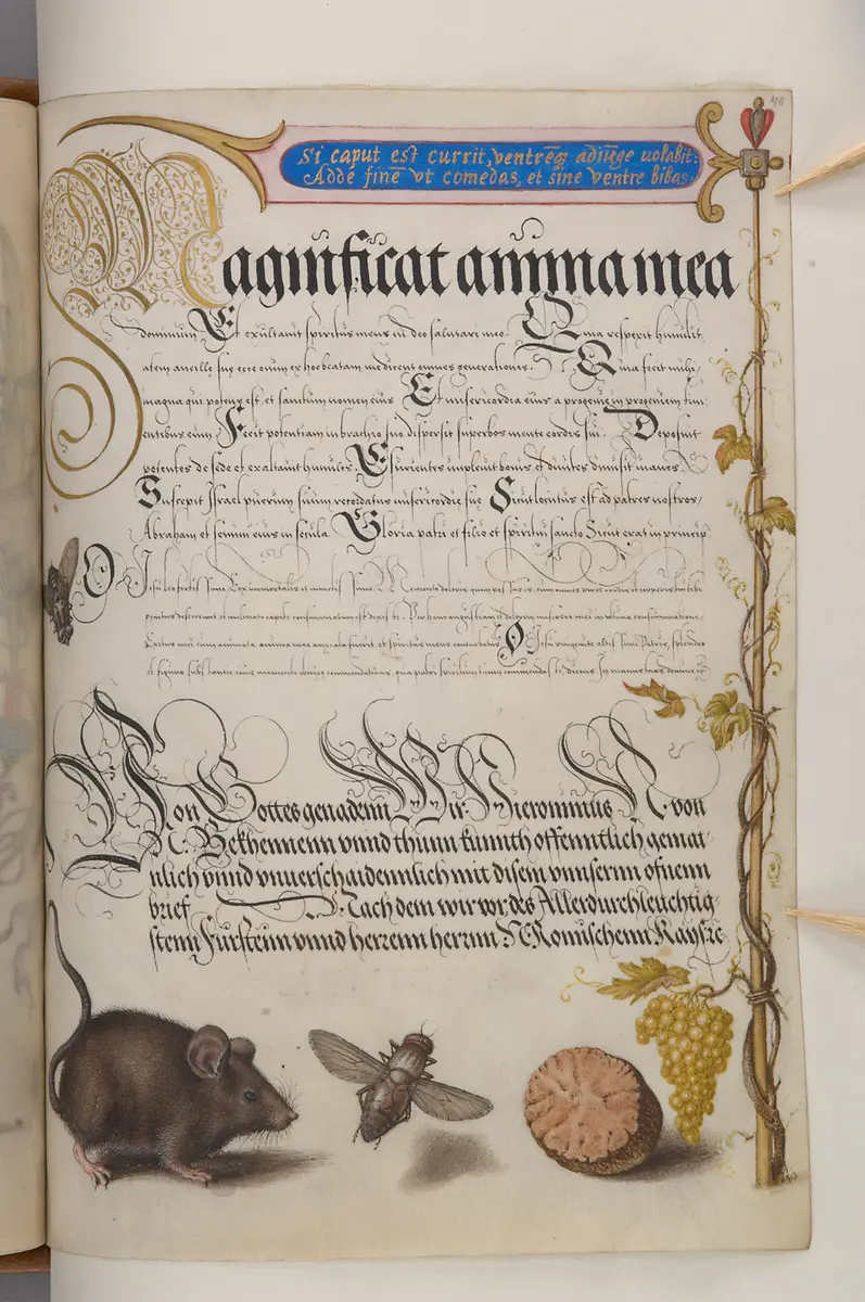 Schriftmusterbuch; 127 Blatt Pergament