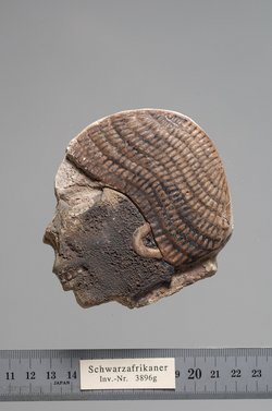 Kopf eines Mannes (Schwarzafrikaner)