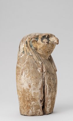 Scheinkanope mit Falkenkopf