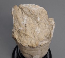 Relieffragment: Kopf eines palmyrenischen Priesters
