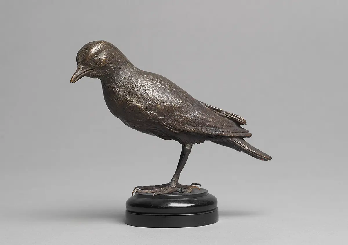 Vogel