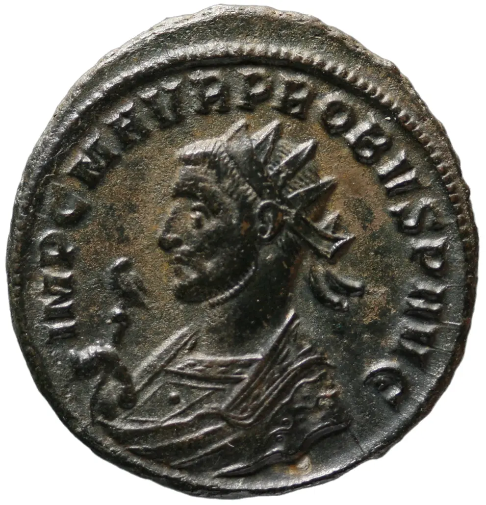 Probus