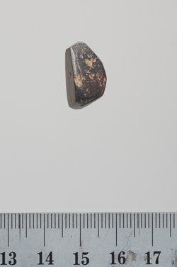 Sieben Gewichte