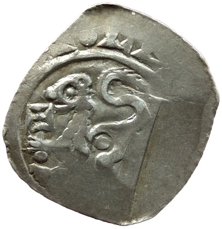 Herzöge von Kärnten: Bernhard (1202–1256)